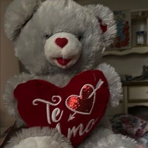 Gray and Red Teddy Bear with Heart